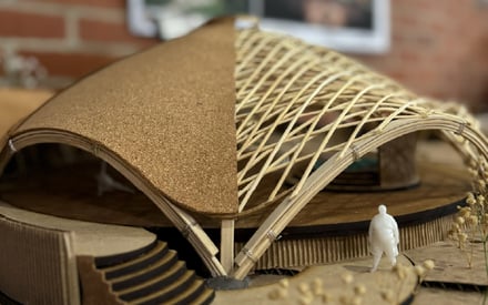 Tomás Noticias (2)-02-Dec-03-2025-05-02-33-4425-PM